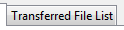 6. Transferred File List tab