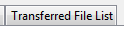 5. Transferred File List tab