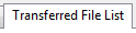3. Transferred File List tab